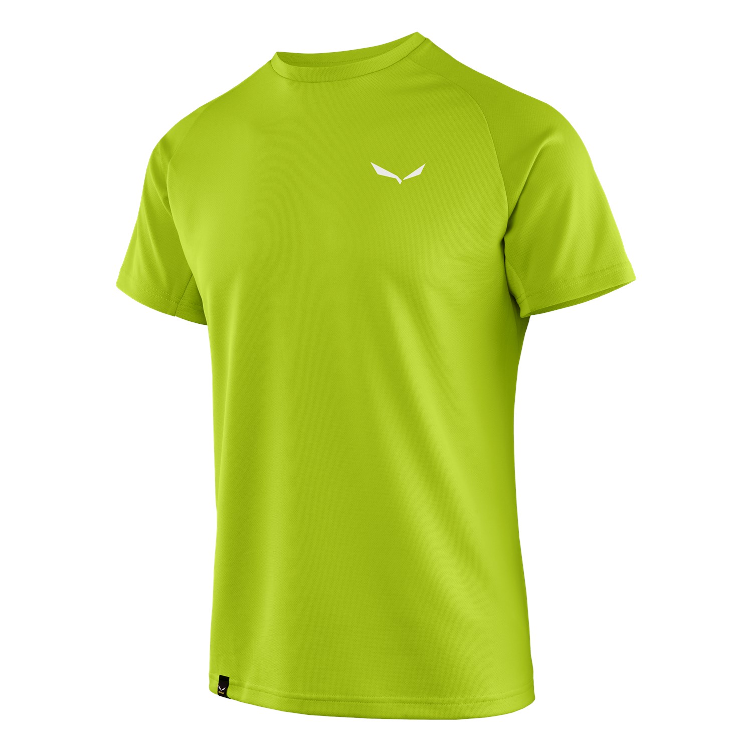 Salewa Men's Sporty B 3 Dry T-Shirts Green TUZ-872604